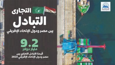 %15.6 زيادة في صادرات مصر إلى دول الاتحاد الافريقي عام 2023